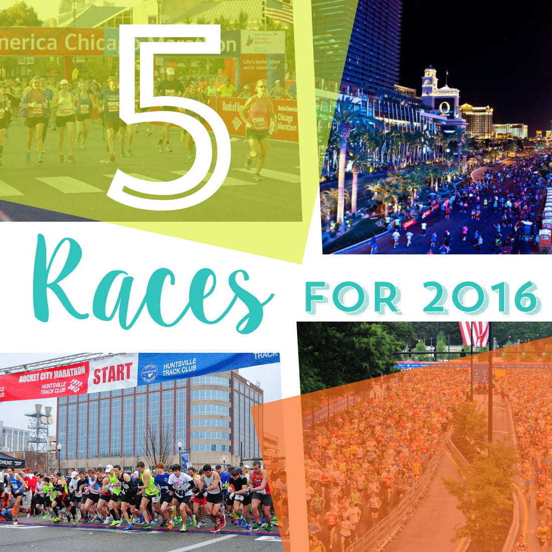 Fitness Fox's 2016 Race Picks