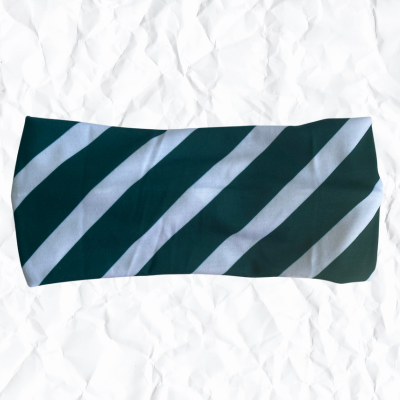 Spartan Green & White Stripe- Michigan State