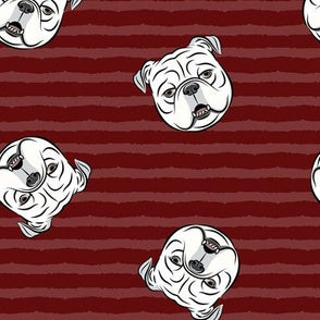 Bulldog Face on Burgundy Stripes