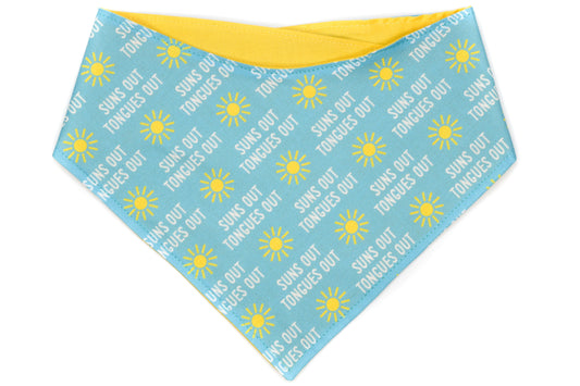 Doggie Bandana - Suns Out Tongues Out Blue, Yellow